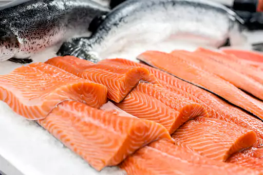 Trout Fresh Salmon